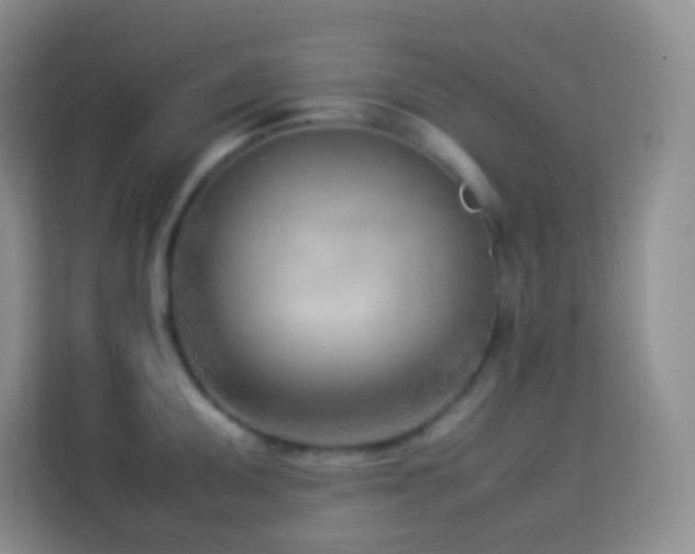 X0000114061095200910051211