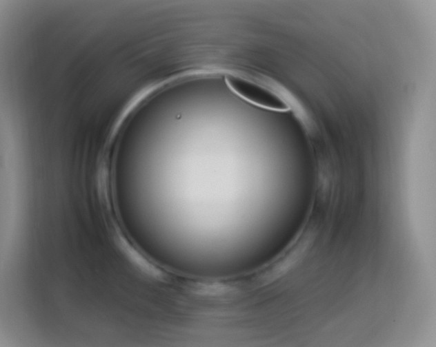 X0000114061100200910051211