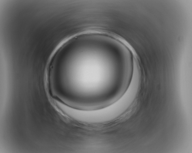 X0000114061101200910051211