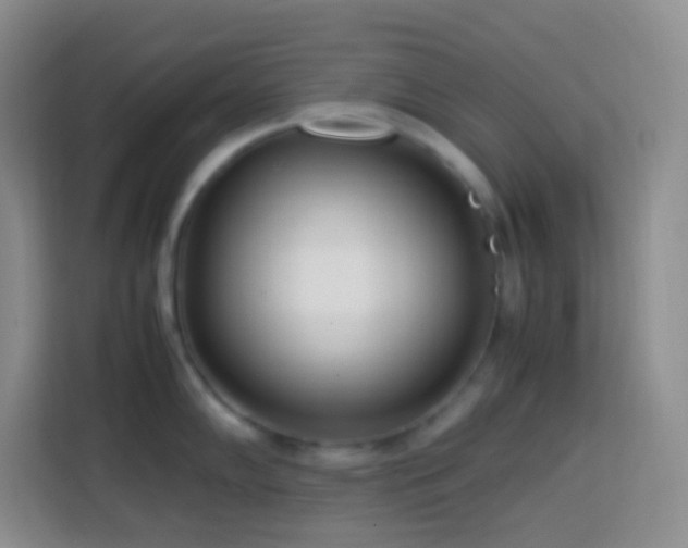 X0000114061102200910051211