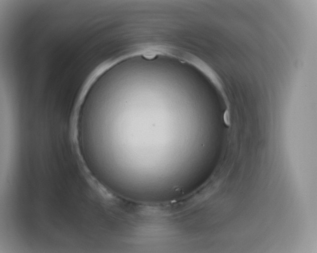 X0000114061104200910051211