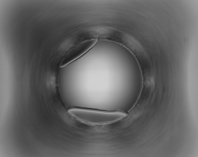 X0000114061108200910051211