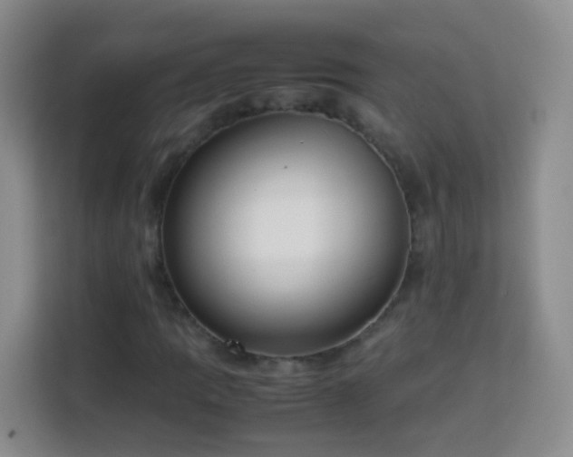 X0000114061109200910051211