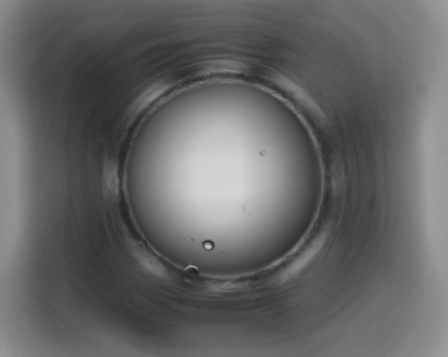 X0000114061113200910051211