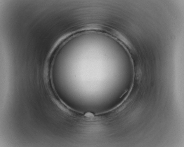 X0000114061116200910051211