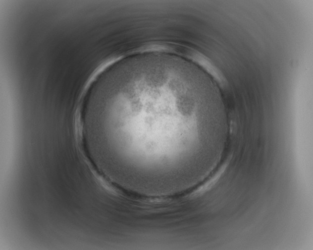 X0000114061117200910051211