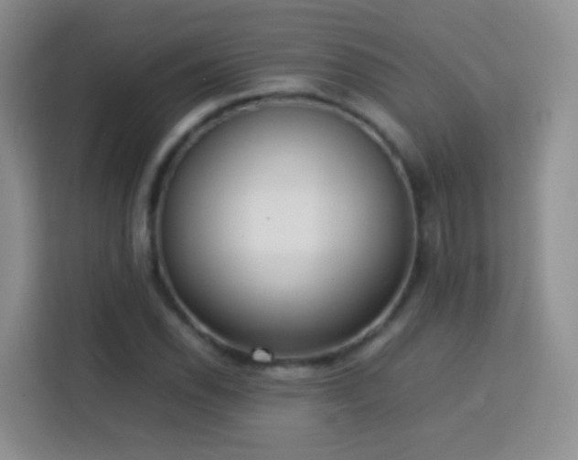 X0000114061118200910051211