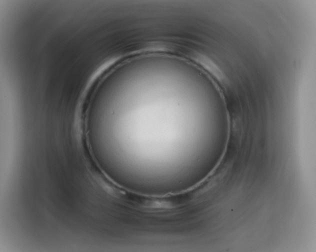 X0000114061119200910051211