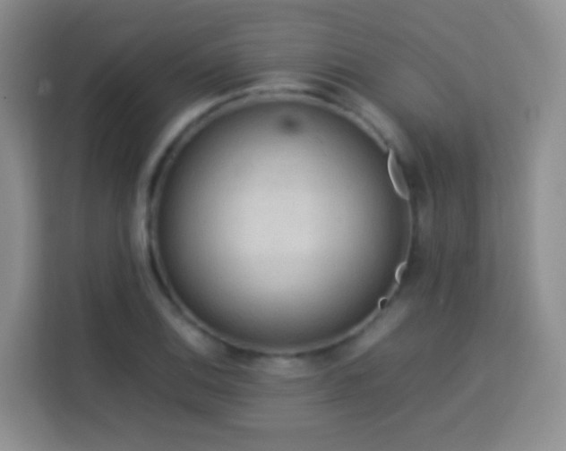 X0000114061124200910051211