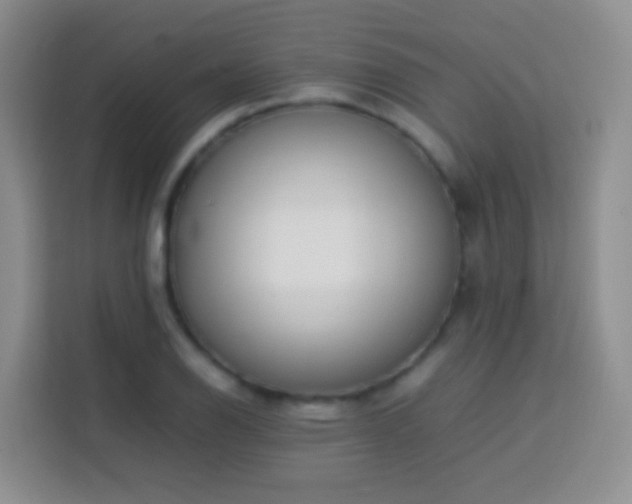 X0000114061126200910051211