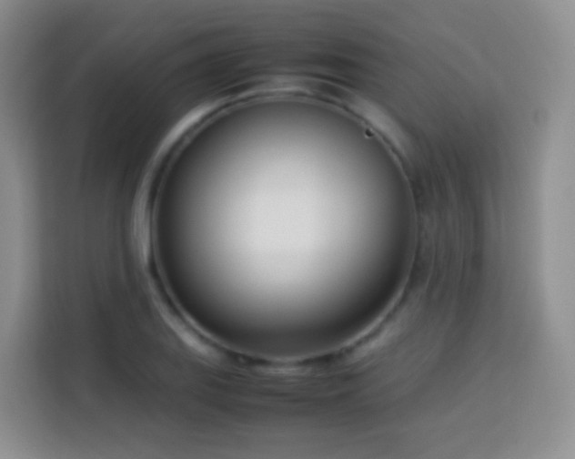 X0000114061127200910051211