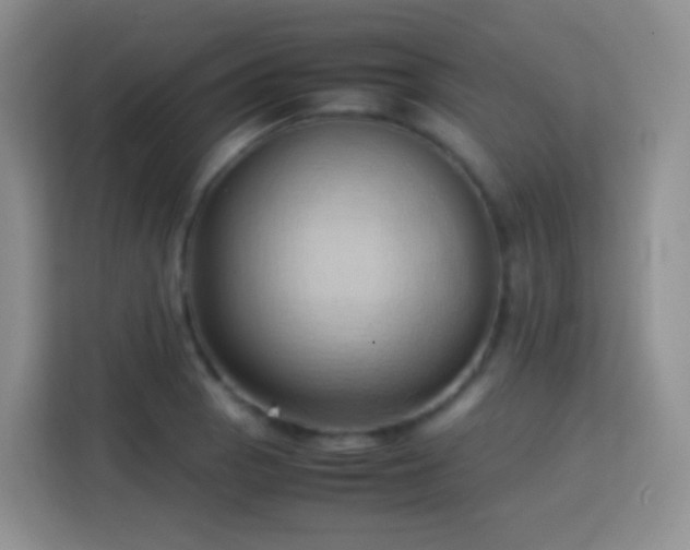 X0000114061129200910051211