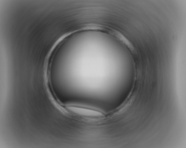 X0000114061132200910051211