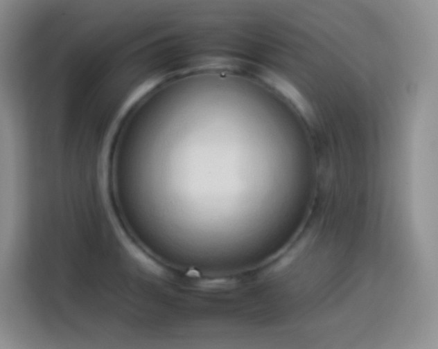 X0000114061135200910051211