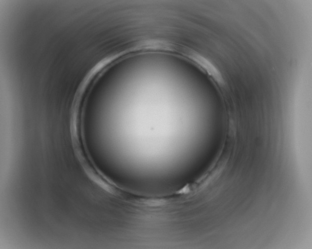 X0000114061136200910051211