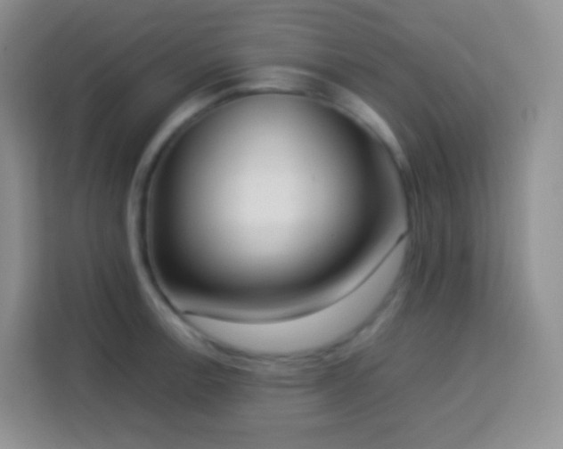 X0000114061138200910051211