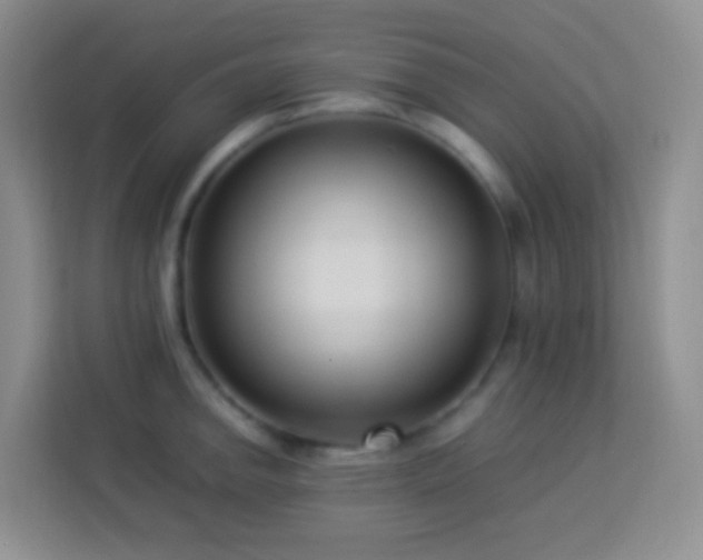 X0000114061142200910051211