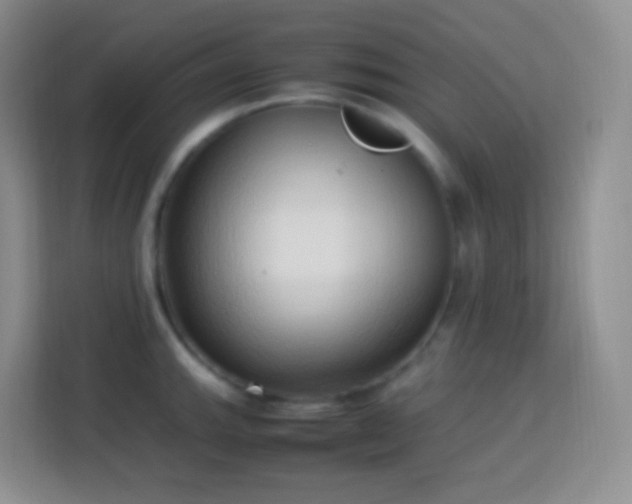 X0000114061143200910051211