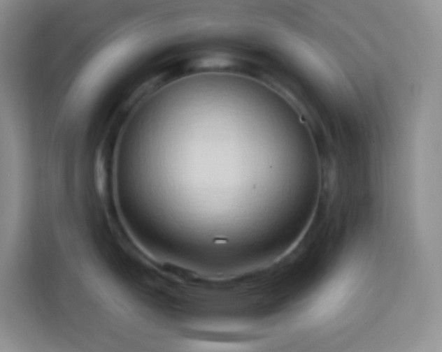 X0000114061151200910051211