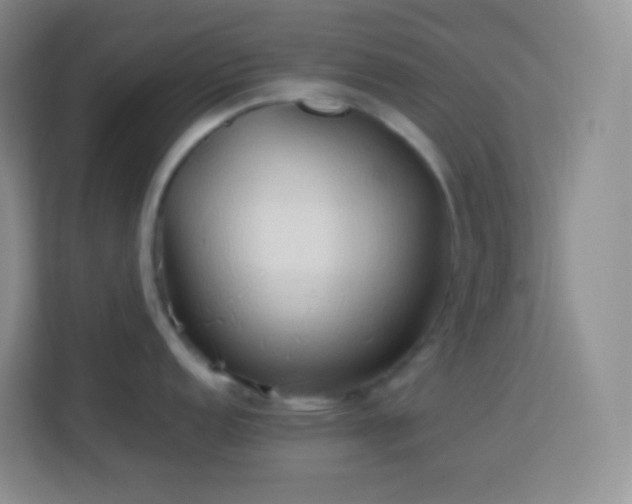 X0000114061152200910051211