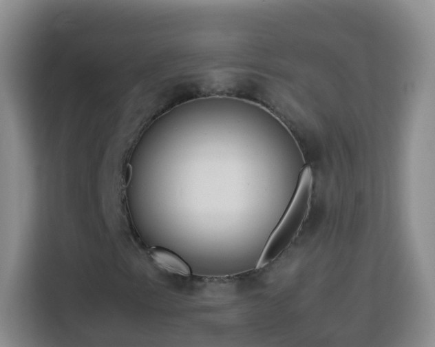 X0000114061153200910051211