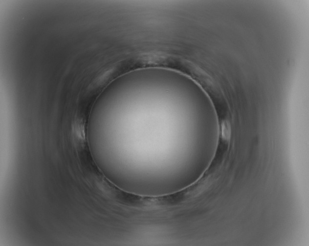 X0000114061155200910051211