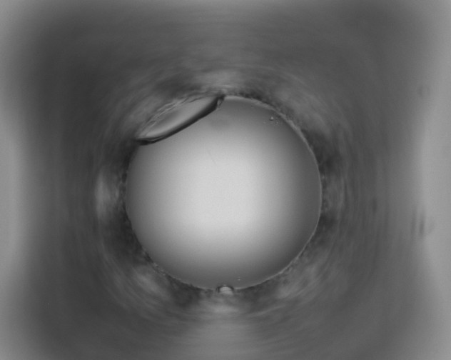 X0000114061157200910051211