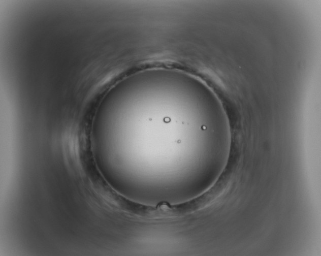 X0000114061159200910051211