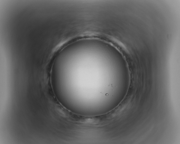 X0000114061160200910051211