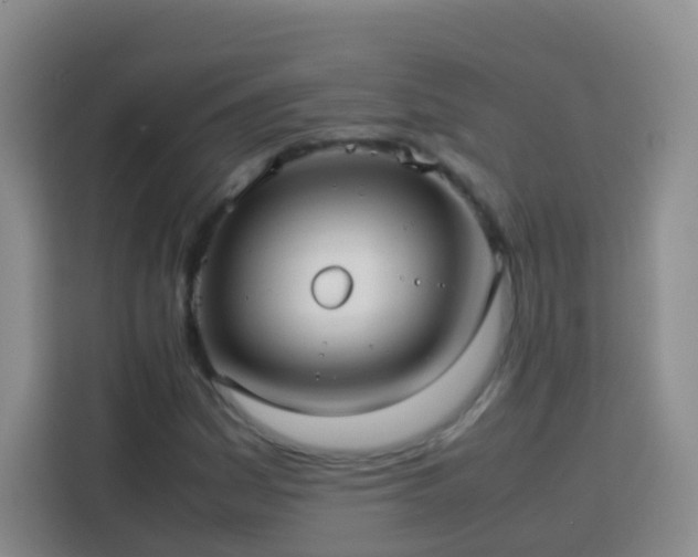 X0000114061161200910051211