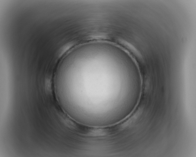 X0000114061162200910051211