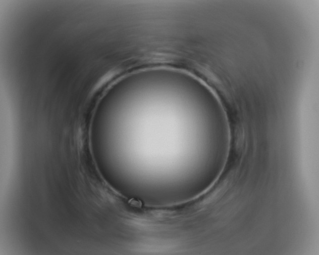 X0000114061163200910051211