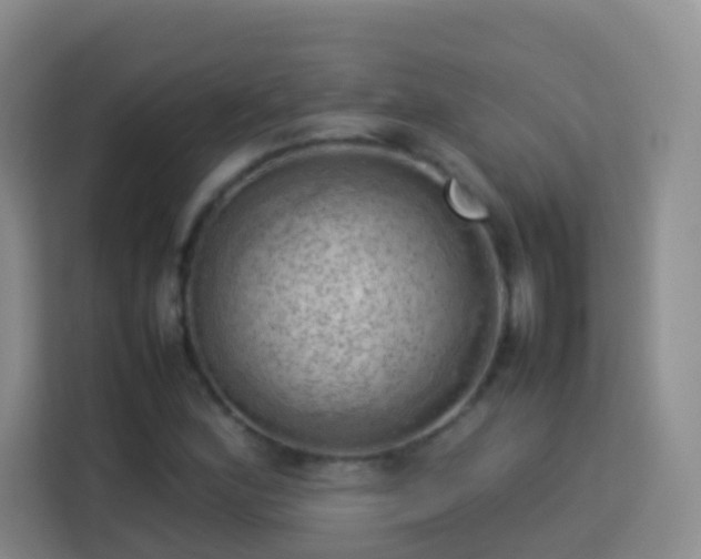 X0000114061164200910051211