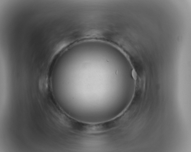 X0000114061165200910051211