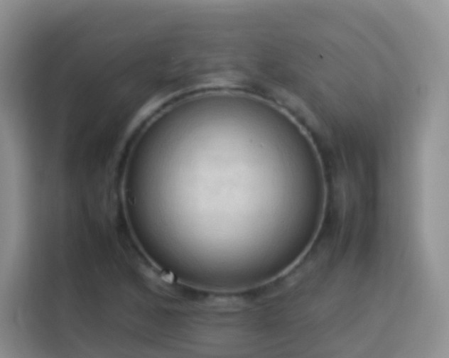 X0000114061168200910051211