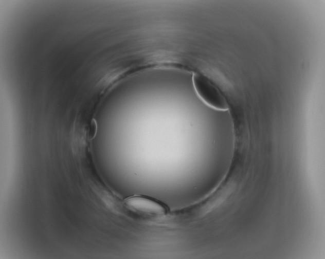 X0000114061169200910051211