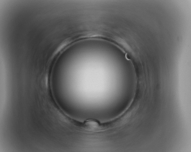 X0000114061173200910051210
