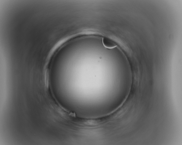 X0000114061175200910051210