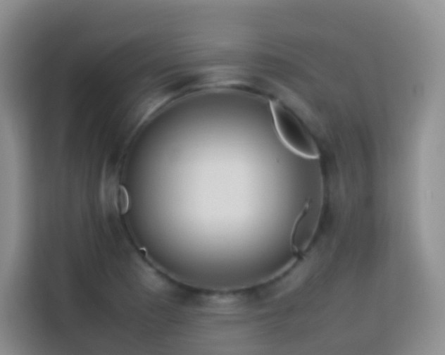 X0000114061177200910051210