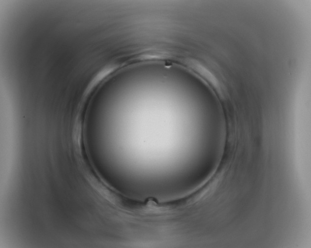 X0000114061179200910051210