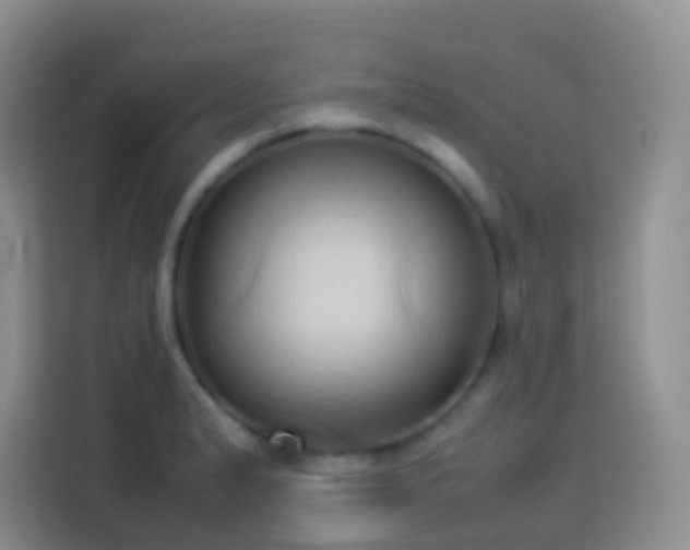 X0000114061183200910051210