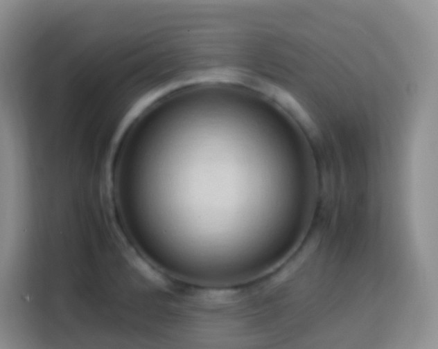 X0000114061184200910051210