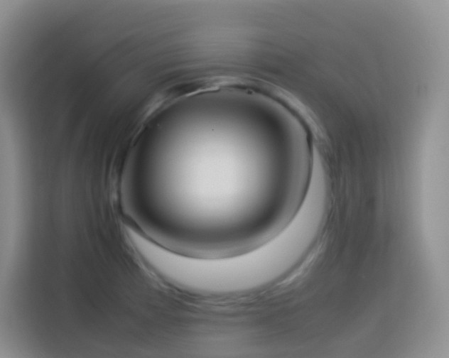 X0000114061185200910051210