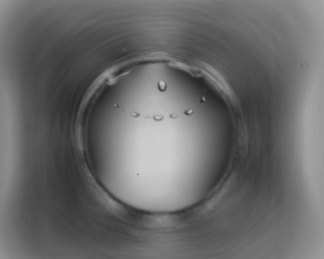 X0000114061188200910051210