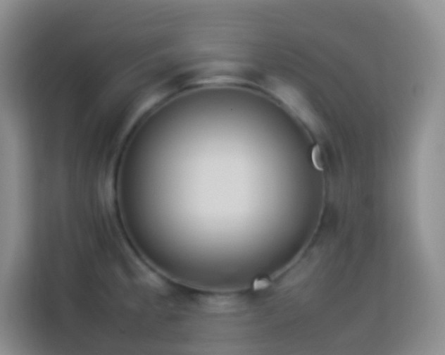 X0000114061189200910051210