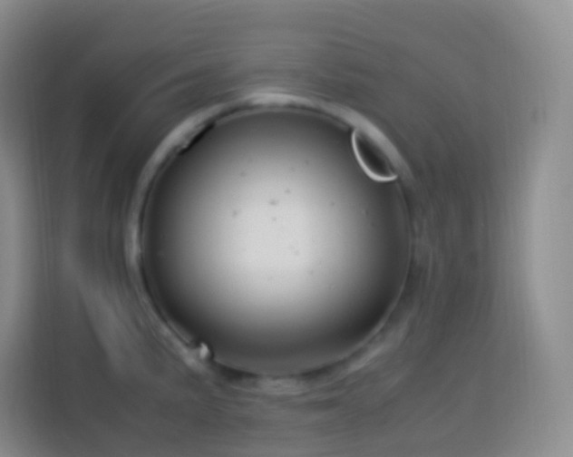 X0000114061191200910051210