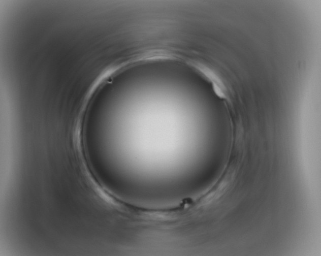 X0000114061197200910051210