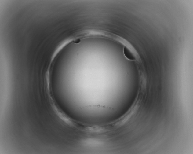 X0000114061198200910051210