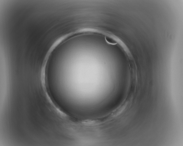 X0000114061199200910051210