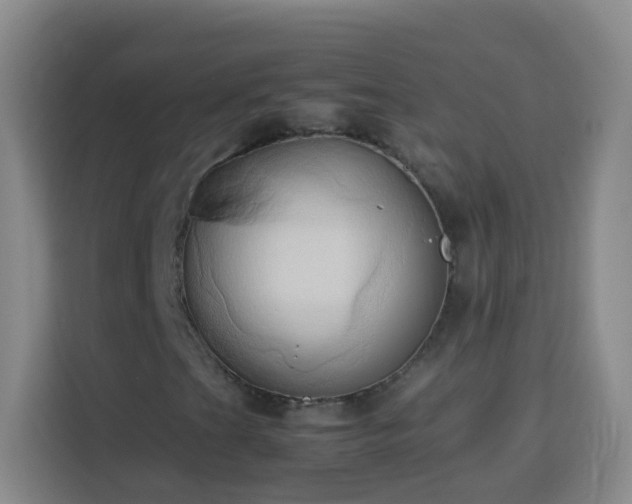 X0000114061201200910051209